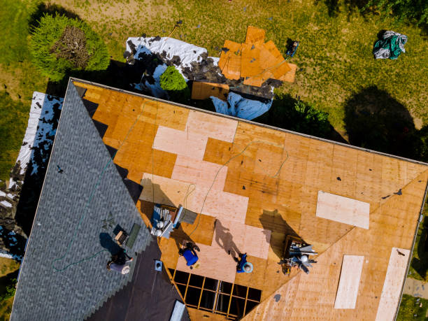 Best Storm Damage Roof Repair  in Colorado City, AZ